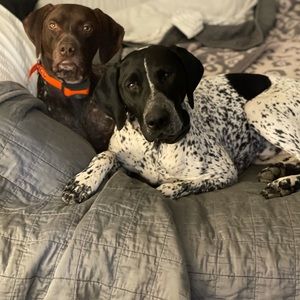 Meet your Posher, Heather